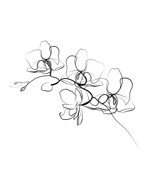 One line drawing orchid sketch.Modern single line art aesthetic