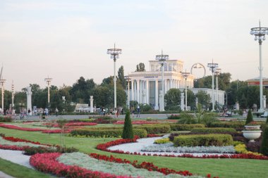 Beyaz bir tabak üzerinde ahududu pasta