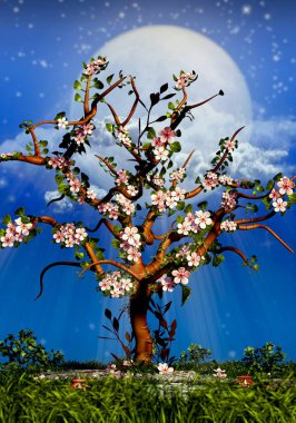 Kiraz ağacı çiçeği ve dolunay gecesi
