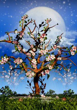 Kiraz ağaçları Blosom ve dolunay gecesi