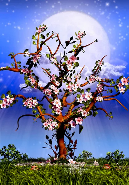 Kiraz ağacı çiçeği ve yıldızlı gece