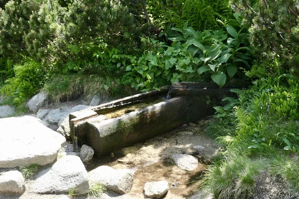 Wooden trough with water in the Giant Mountains