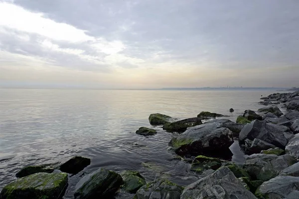 Seascape Widok Plaży Dużymi Mossy Kamienie — Zdjęcie stockowe