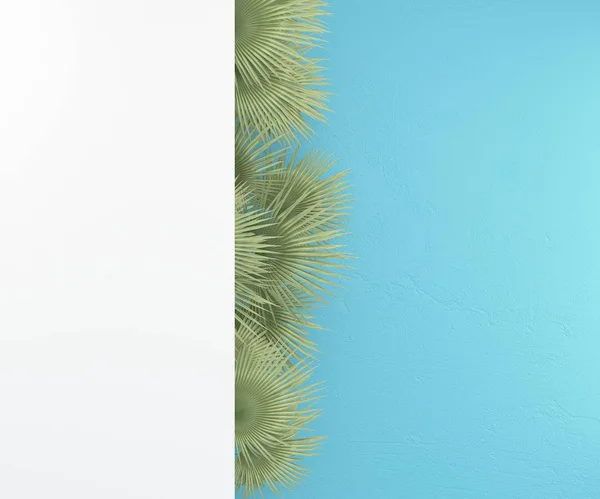 Branco Parede Vazia Fundo Azul Com Folhas Palma Renderização — Fotografia de Stock