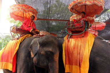 Ayutthaya, Tayland - 29 Nisan 2014. Filler Sarayı'nda dinlenen fil binicileri.