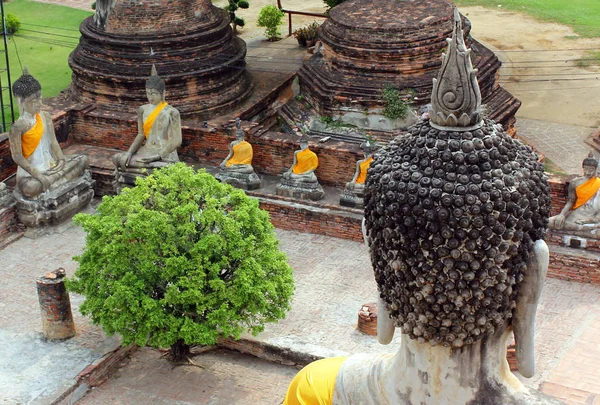 Antiguas estatuas de buda meditante sentada, en el antiguo templo de Wat Yai Chaimongkol en Ayutthaya, Tailandia —  Fotos de Stock
