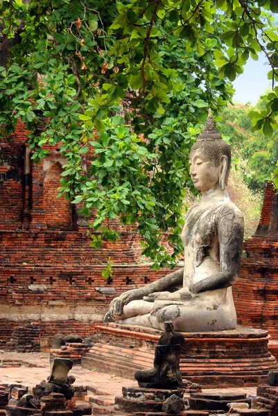 Estatua de Buda en el antiguo templo Wat Phra Sri Sanphet . —  Fotos de Stock