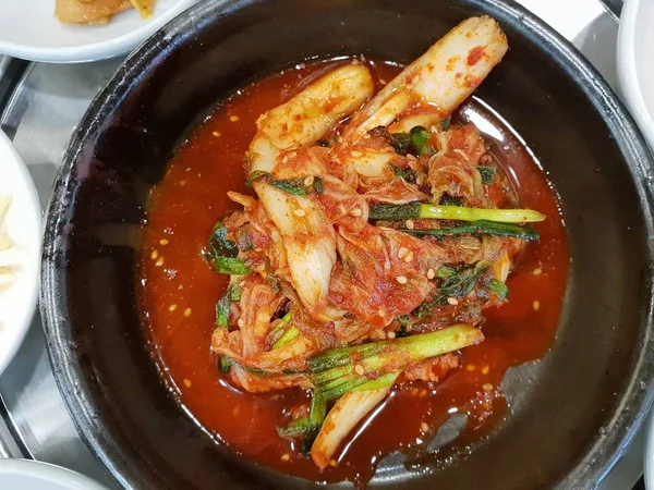 Siyah plaka üzerinde Kore turşu üst görünümü, Kimchi kore geleneksel, Şablon metin için Space