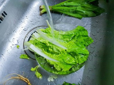 Lavaboda yemek pişirmek için marul, kişniş ve Maydanoz ile taze sebze yıkama üst görünümü