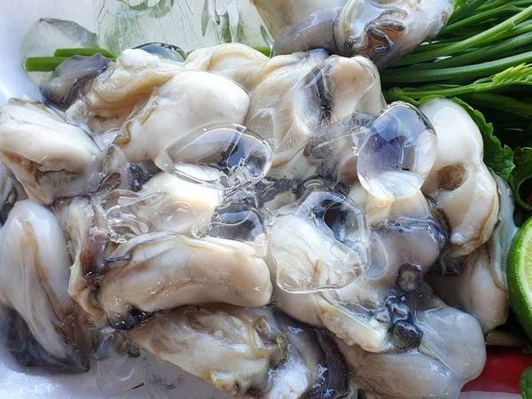 タイ料理のスタイル 野菜のアカシアの新鮮な牡蠣 背景としてスライスされたレモン 食事やサービスの準備ができて — ストック写真
