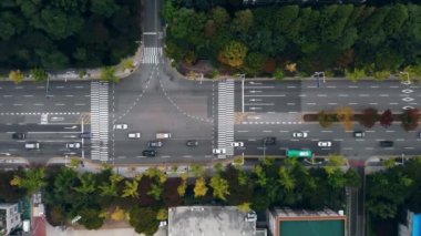 Güney Kore 'de Seul 'de yolda 4k araba trafiği