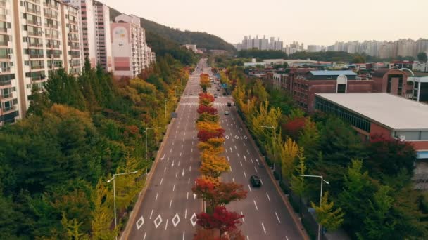 서울에서도로에서 자동차 트래픽 — 비디오
