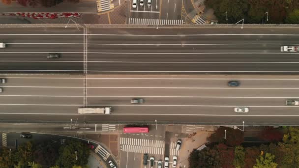 Trafic Automobiles Sur Route Seoul Corée Sud — Video