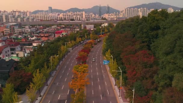 서울에서도로에서 자동차 트래픽 — 비디오