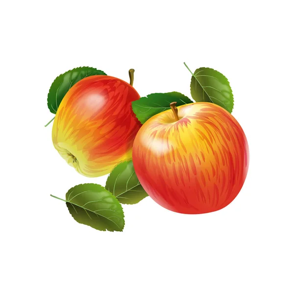 Czerwone jabłko z zielonymi liśćmi na białym tle — Wektor stockowy