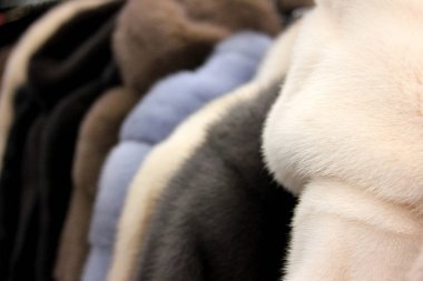 Kürk mantoarka. Giyim mağazasında. Kabarık arka plan