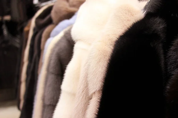 Dükkandaki kürk mantolar. Kabarık arka plan