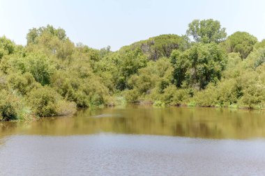 İspanya 'daki Donana Ulusal Parkı' nın manzarası. Güney İspanya 'da kıyı bölgesi. Huelva, Endülüs, İspanya.