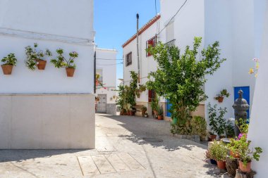 Olvera. İspanya 'nın Endülüs eyaletinin Cadiz ilçesine bağlı tipik bir beyaz köy.