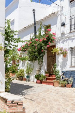 Olvera. İspanya 'nın Endülüs eyaletinin Cadiz ilçesine bağlı tipik bir beyaz köy.