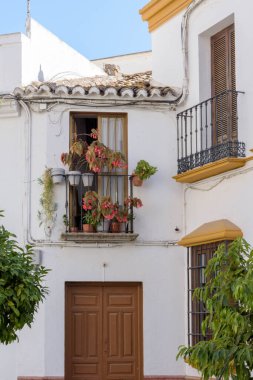 Setenil de las Bodegas. Grazalema. İspanya 'nın Endülüs eyaletinin Cadiz ilçesine bağlı tipik bir beyaz köy.
