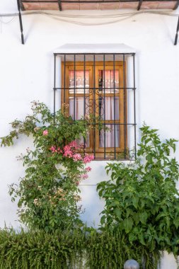 Grazalema. İspanya 'nın Endülüs eyaletinin Cadiz ilçesine bağlı tipik bir beyaz köy.