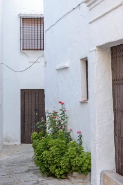 Grazalema. İspanya 'nın Endülüs eyaletinin Cadiz ilçesine bağlı tipik bir beyaz köy.