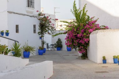 Vejer de la Frontera. Typical white village of Spain in the province of Cadiz in Andalusia, Spain clipart