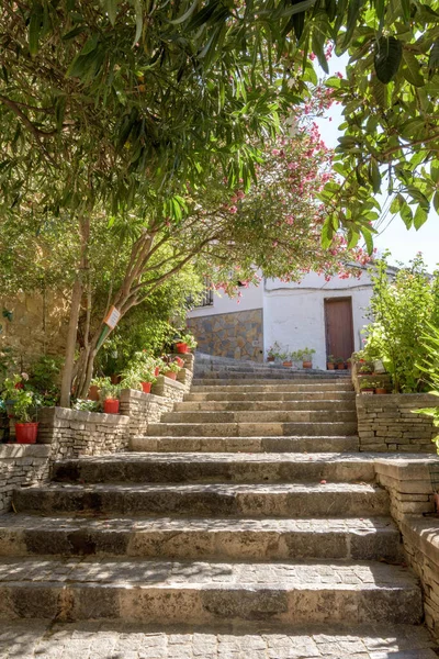 Setenil Las Bodegas Grazalema Typisk Vit Spanien Provinsen Cadiz Andalusien — Stockfoto