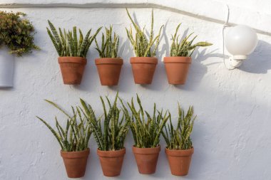 Vejer de la Frontera. İspanya 'nın Endülüs eyaletinin Cadiz ilçesine bağlı tipik bir beyaz köy.
