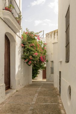 Vejer de la Frontera. İspanya 'nın Endülüs eyaletinin Cadiz ilçesine bağlı tipik bir beyaz köy.