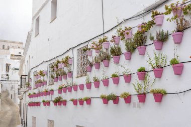 Vejer de la Frontera. İspanya 'nın Endülüs eyaletinin Cadiz ilçesine bağlı tipik bir beyaz köy.