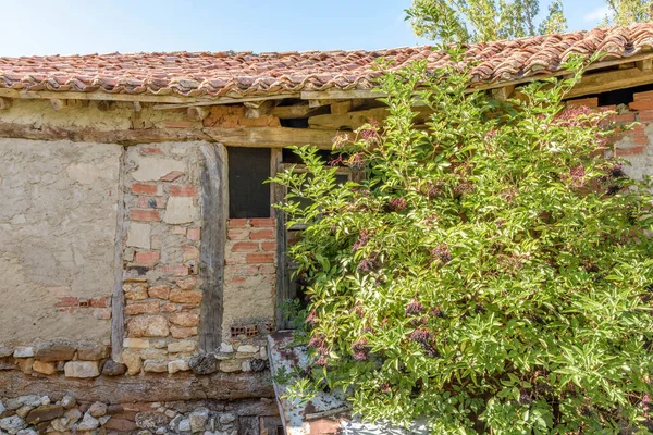 Albacastro evi terk etti. İspanya 'nın kuzeyinde, Castilla y Leon eyaletinde terk edilmiş bir kasaba..