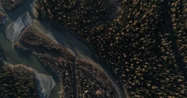 Fluss Der Kurai Steppe Altai — Stockvideo
