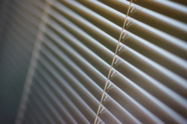 Details of the modern interior blinds on the window.