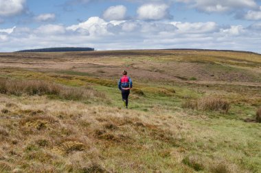 Batı Yorkshire'da İlkley ve Addingham arasındaki Dales High Way'de yürüyüş, Gamalı Haç Taşı ve İlkley Moor'u gösteriyor.. 