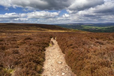 Batı Yorkshire'da İlkley ve Addingham arasındaki Dales High Way'de yürüyüş, Gamalı Haç Taşı ve İlkley Moor'u gösteriyor.. 
