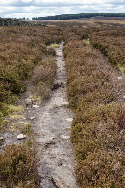 Caminhando Dales High Way Entre Ilkley Addingham West Yorkshire Mostrando — Fotografia de Stock