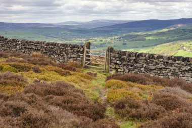 Walking on the Dales High Way between Ilkley and Addingham in West Yorkshire, showing the Swastika Stone and Ilkley Moor.  clipart