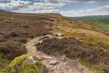 Batı Yorkshire'da İlkley ve Addingham arasındaki Dales High Way'de yürüyüş, Gamalı Haç Taşı ve İlkley Moor'u gösteriyor.. 