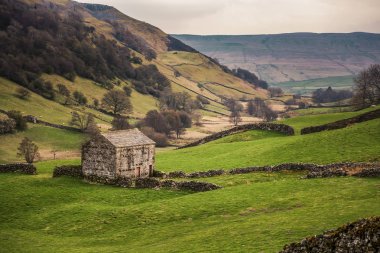 Swaledale, İngiltere'nin kuzeyindeki Yorkshire Dales Milli Parkı'nın en kuzeydeki dallarından biridir. Kuzey Yorkshire'daki Pennines nehri'nin doğu yakasındaki Swale Nehri'nin dalesi.. 