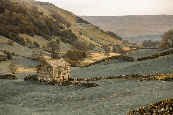 Swaledale is one of the northernmost dales in the Yorkshire Dales National Park in northern England. It is the dale of the River Swale on the east side of the Pennines in North Yorkshire. — Stock Image Swaledale One Northernmost Dales Yorkshire Dales National Park Northern England Stock Photo