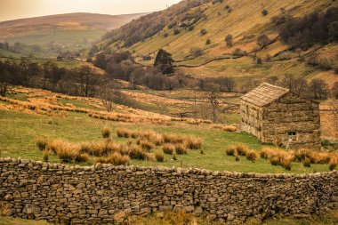 Swaledale, İngiltere'nin kuzeyindeki Yorkshire Dales Milli Parkı'nın en kuzeydeki dallarından biridir. Kuzey Yorkshire'daki Pennines nehri'nin doğu yakasındaki Swale Nehri'nin dalesi.. 