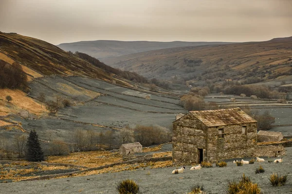 Swaledale is one of the northernmost dales in the Yorkshire Dales National Park in northern England. It is the dale of the River Swale on the east side of the Pennines in North Yorkshire.