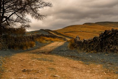 Büyük Shunner Fell doğru Pennine Yolu