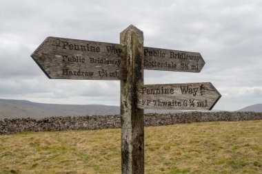 Büyük Shunner Fell doğru Pennine Yolu