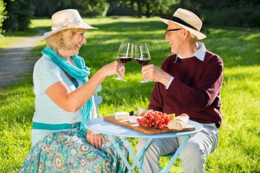 Aşık aşık çift parkta piknik, masada oturan ve şarap içerken birbirlerine bakarak
