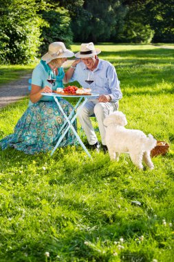Yaşlı çift ve beyaz küçük köpek parkta oturan, kırmızı şarap içme ve meyve yeme
