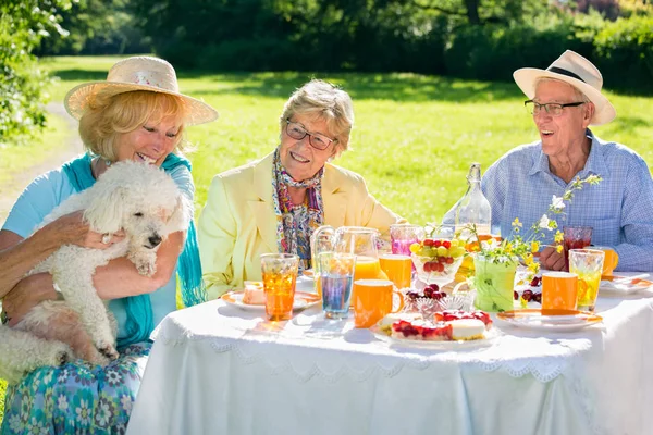 幸せな高齢者がテーブルの周りに座って フルーツケーキを食べ 白い犬とオレンジジュースを飲む — ストック写真