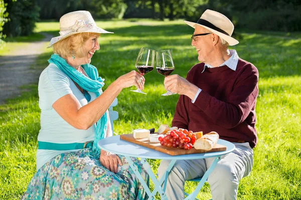 老年夫妇在爱野餐在公园 坐在桌子旁 看着对方 而喝葡萄酒 — 图库照片